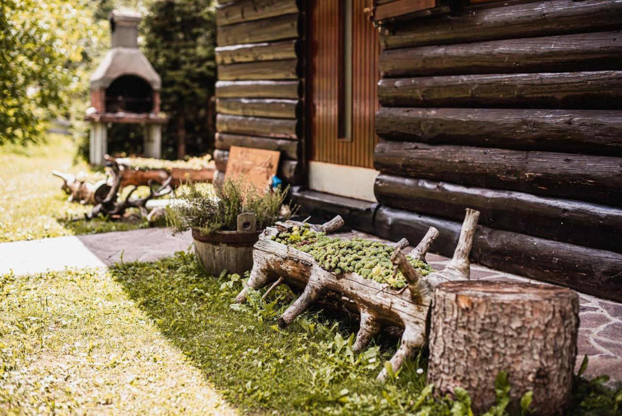 Cottage Hidden Pearl Zgornje Jezersko Extérieur photo